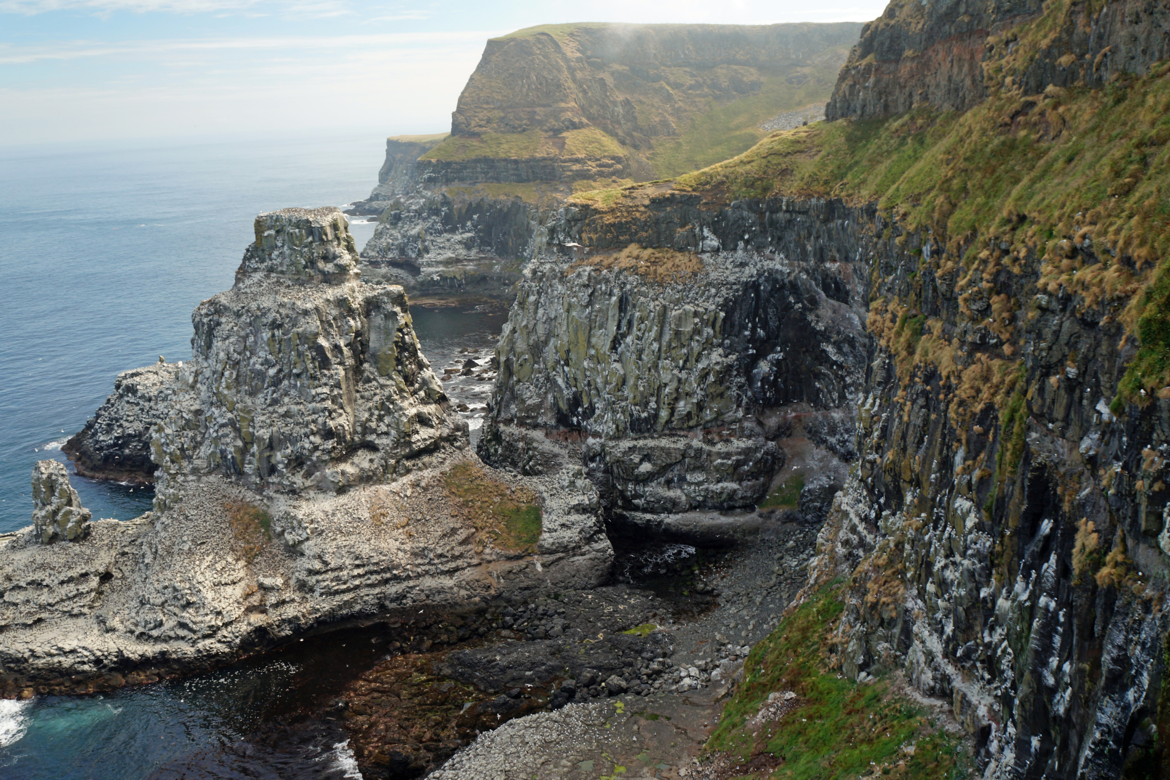 153 rathlin island.webp